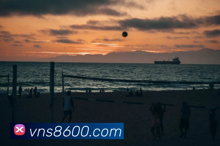 威尼斯娱乐平台平台生态图